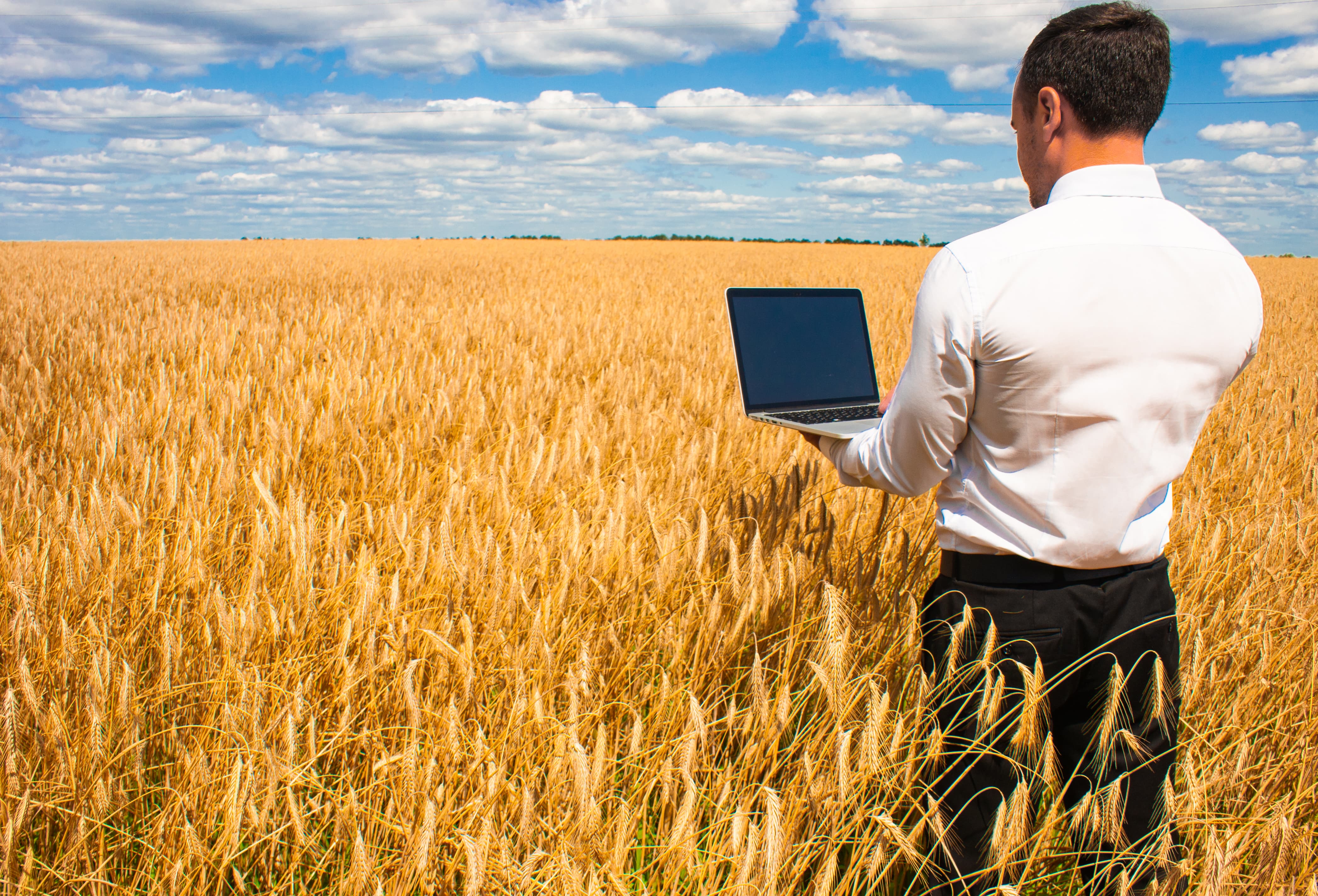 АО СК «РСХБ-Страхование» успешно провела оценку возможностей системы ИТ-управления по методологии компании IT Expert